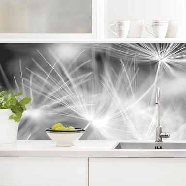 Moving Dandelions Close Up On Black Background salpicadero cocina adhesivo formato horizontal | micasia.es